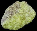 Sulfur Crystals on Matrix - Bolivia #51569-2